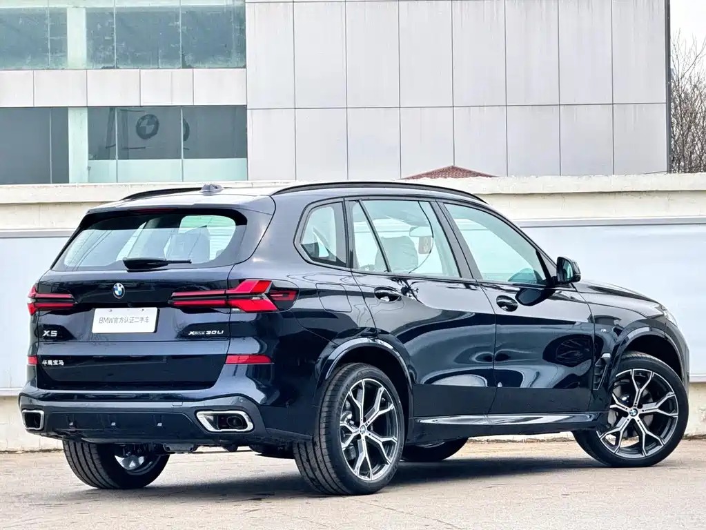 BMW BMW X5 2025 xDrive 30Li M Sport Shadow Night Package 2026 - thumbnail 5