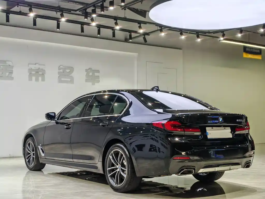 BMW BMW 5 Series 2022 525Li M Sport Package 2023 - thumbnail 6