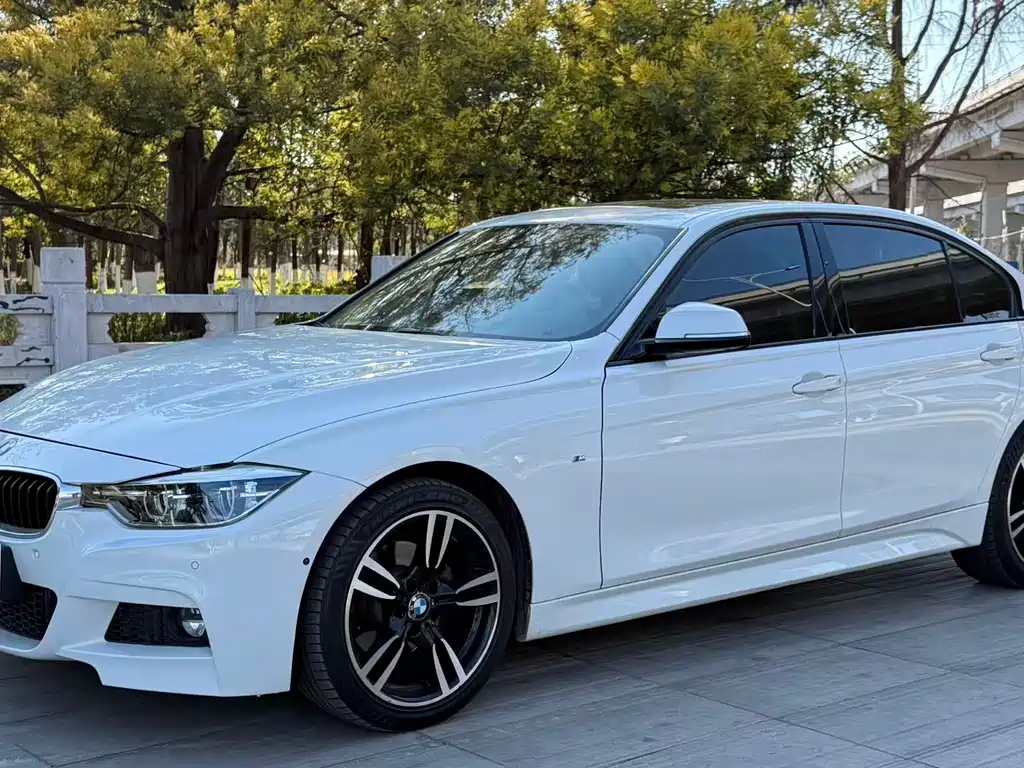 BMW BMW 3 Series 2019 320Li M Sport Package 2019