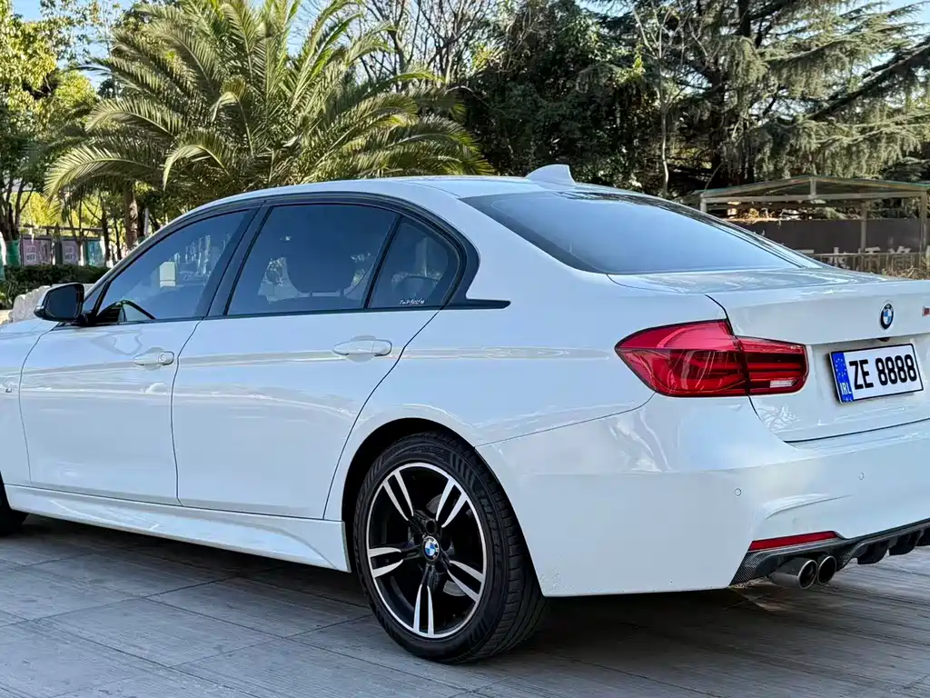 BMW BMW 3 Series 2019 320Li M Sport Package 2019 - thumbnail 6