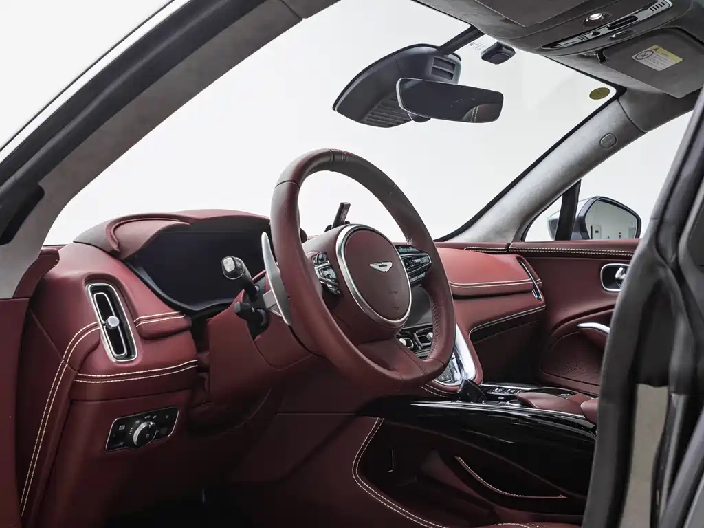 Aston Martin Aston Martin DBX 2020 4.0T V8 2021 - thumbnail 9