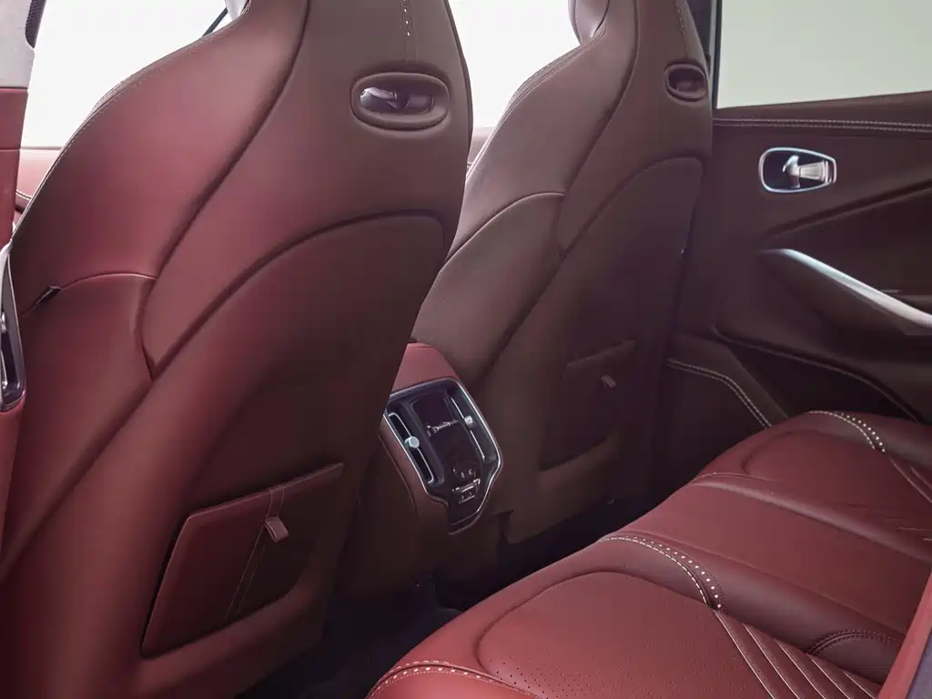 Aston Martin Aston Martin DBX 2020 4.0T V8 2021 - thumbnail 13