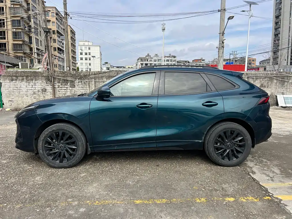 Dongfeng Fengxing Fengxing T5 EVO 2021 1.5TD DCT Star Edition 2022 - thumbnail 4