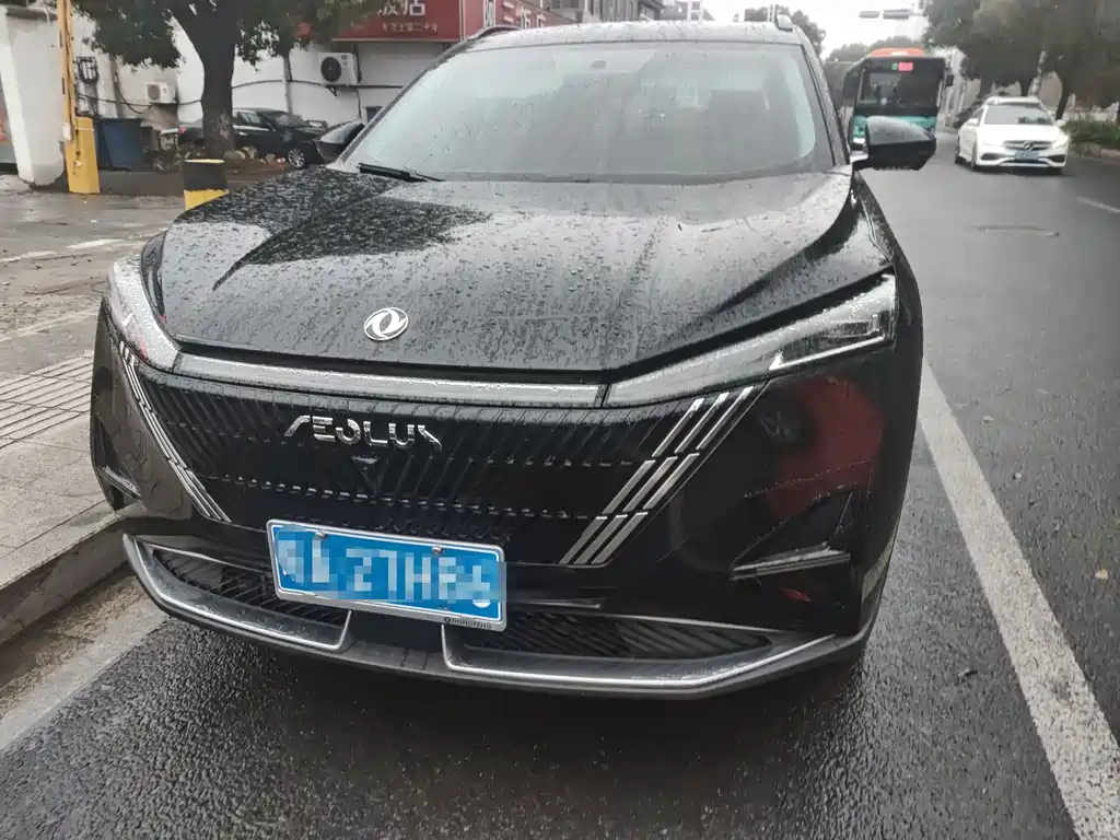 Dongfeng Fengshen HAO HAN 2024 Glory Edition 1.5T Luxury Model 2024 - thumbnail 2
