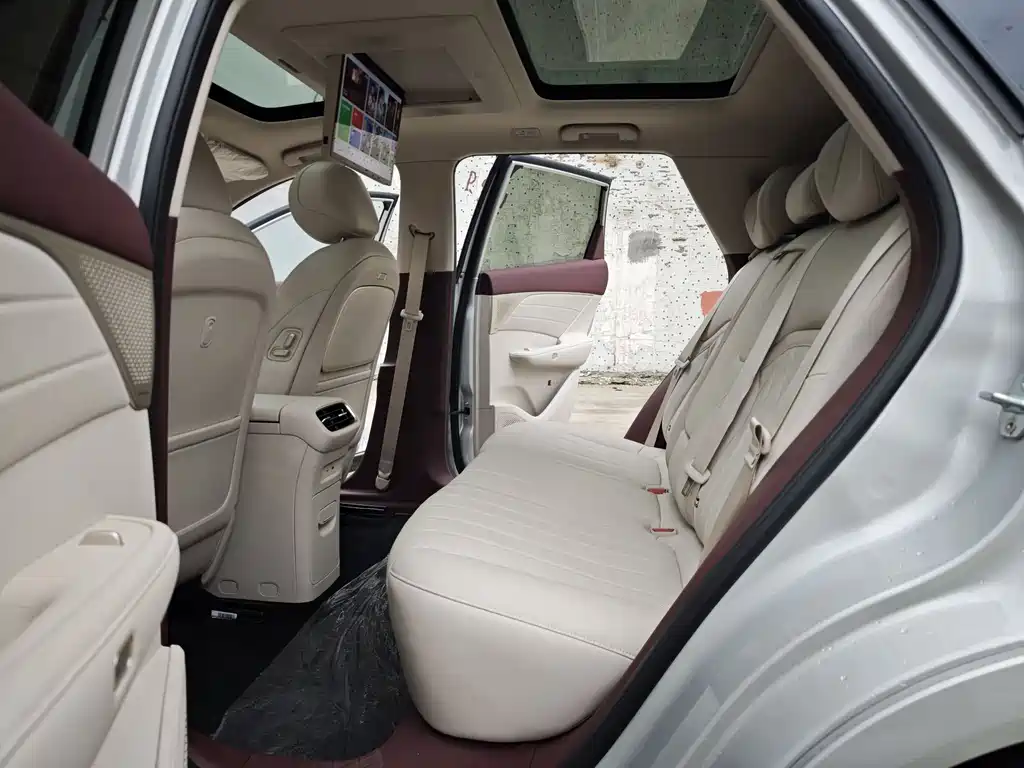 Dongfeng Fengshen DFSK L8 2025 112KM Dream Edition 2026 - thumbnail 9