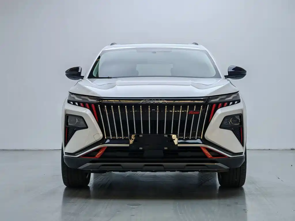 Dongfeng Fengshen Haoji 2024 Mahle Power 1.5T Luxury 2024 - thumbnail 2