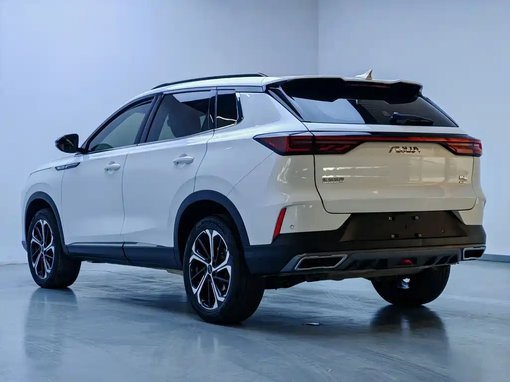 Dongfeng Fengshen Haoji 2024 Mahle Power 1.5T Luxury 2024 - thumbnail 13