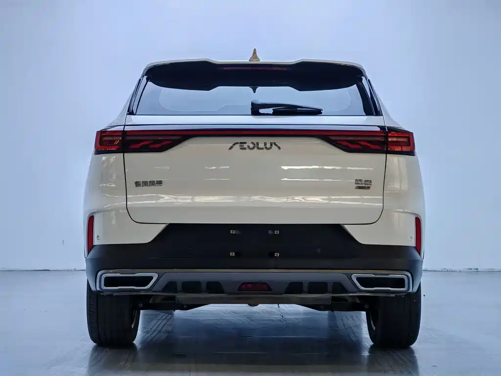 Dongfeng Fengshen Haoji 2024 Mahle Power 1.5T Luxury 2024 - thumbnail 14