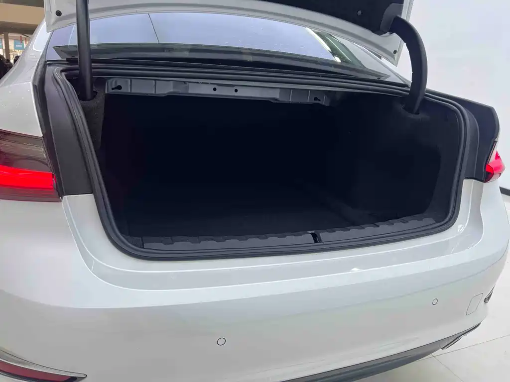 BMW BMW 3 Series 2020 325Li Launch Edition 2019 - thumbnail 16