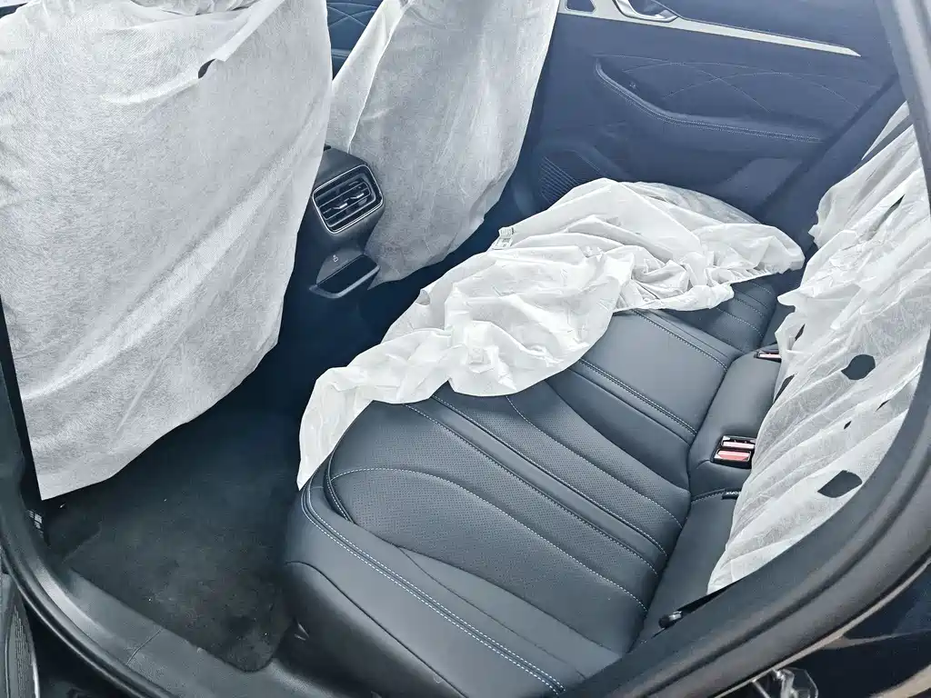 Geely Auto Geely Starray 2026 Oriental Shine 1.5TD Swan Edition 2026 - thumbnail 8