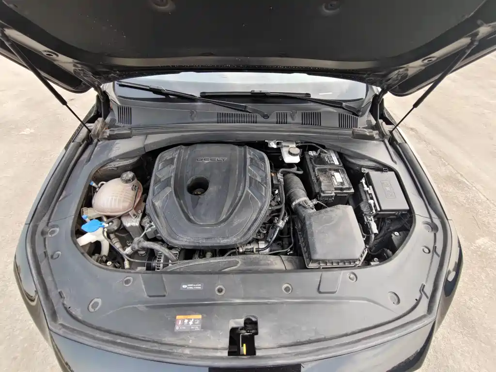 Geely Auto Geely Starray 2023 2.0TD Elite 2024 - thumbnail 12