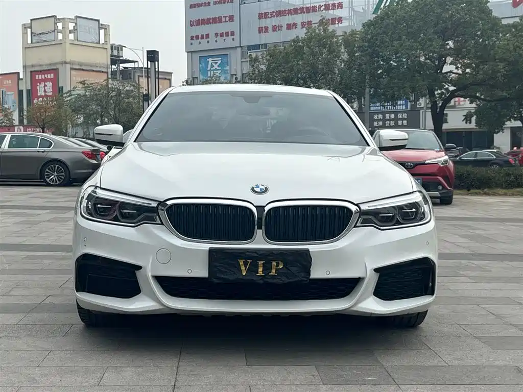 BMW BMW 5 Series 2020 530Li Leading Model M Sport Package 2020 - thumbnail 2