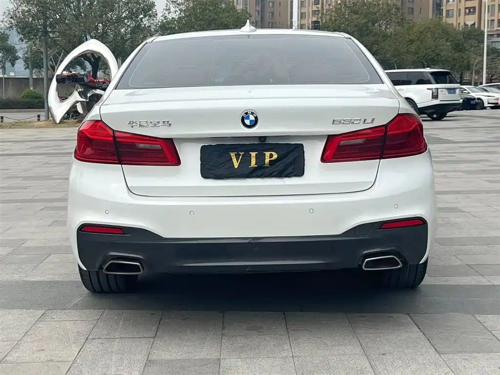 BMW BMW 5 Series 2020 530Li Leading Model M Sport Package 2020 - thumbnail 6