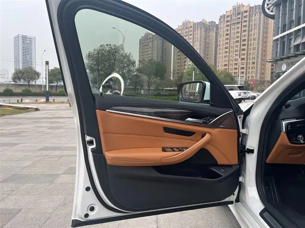 BMW BMW 5 Series 2020 530Li Leading Model M Sport Package 2020 - thumbnail 11