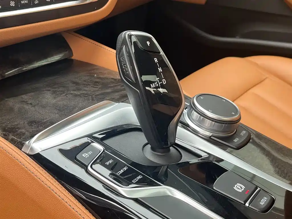BMW BMW 5 Series 2020 530Li Leading Model M Sport Package 2020 - thumbnail 13