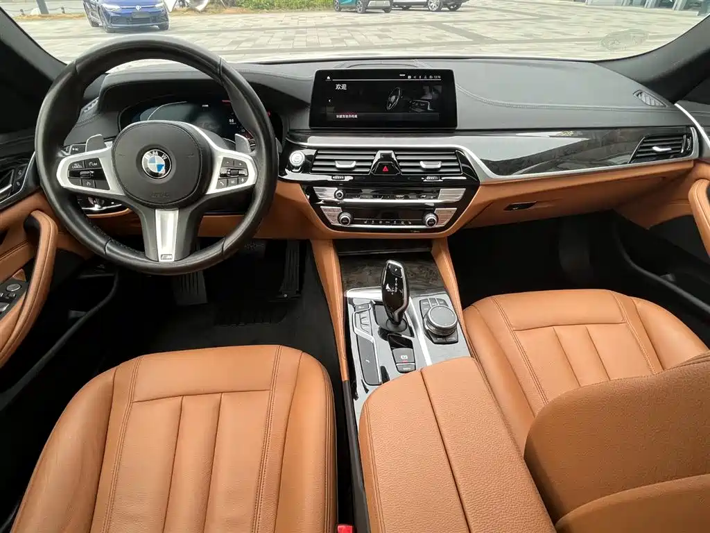 BMW BMW 5 Series 2020 530Li Leading Model M Sport Package 2020 - thumbnail 16