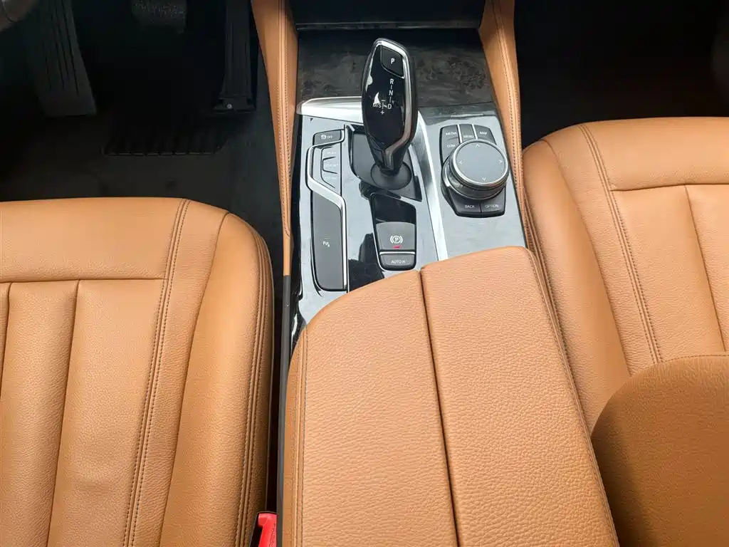 BMW BMW 5 Series 2020 530Li Leading Model M Sport Package 2020 - thumbnail 19