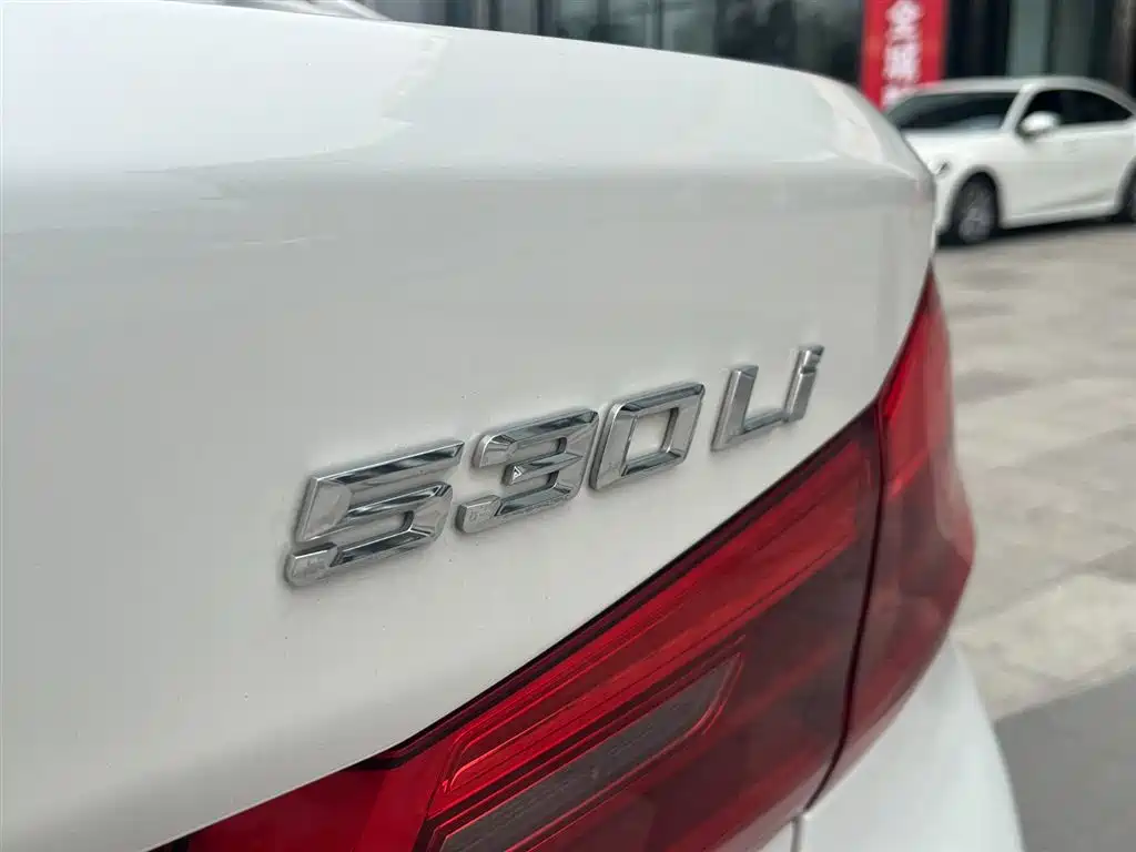 BMW BMW 5 Series 2020 530Li Leading Model M Sport Package 2020 - thumbnail 22
