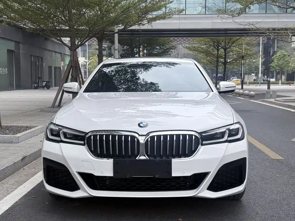 BMW BMW 5 Series 2023 530Li Leading Model Luxury Package 2023 - thumbnail 2