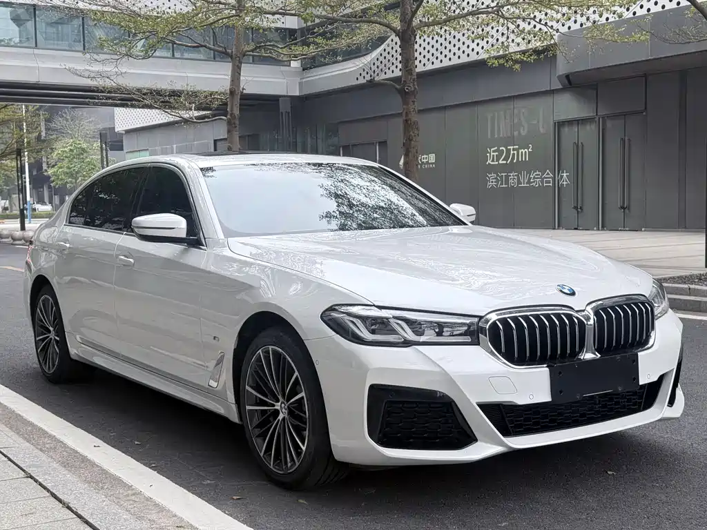 BMW BMW 5 Series 2023 530Li Leading Model Luxury Package 2023 - thumbnail 3