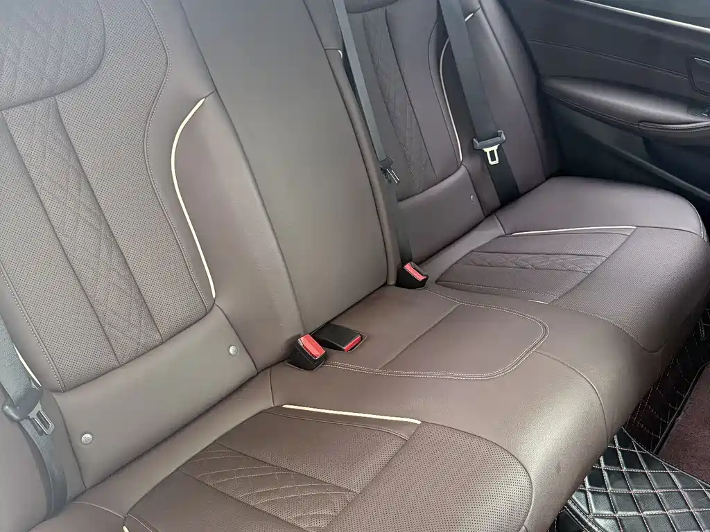 BMW BMW 5 Series 2023 530Li Leading Model Luxury Package 2023 - thumbnail 11