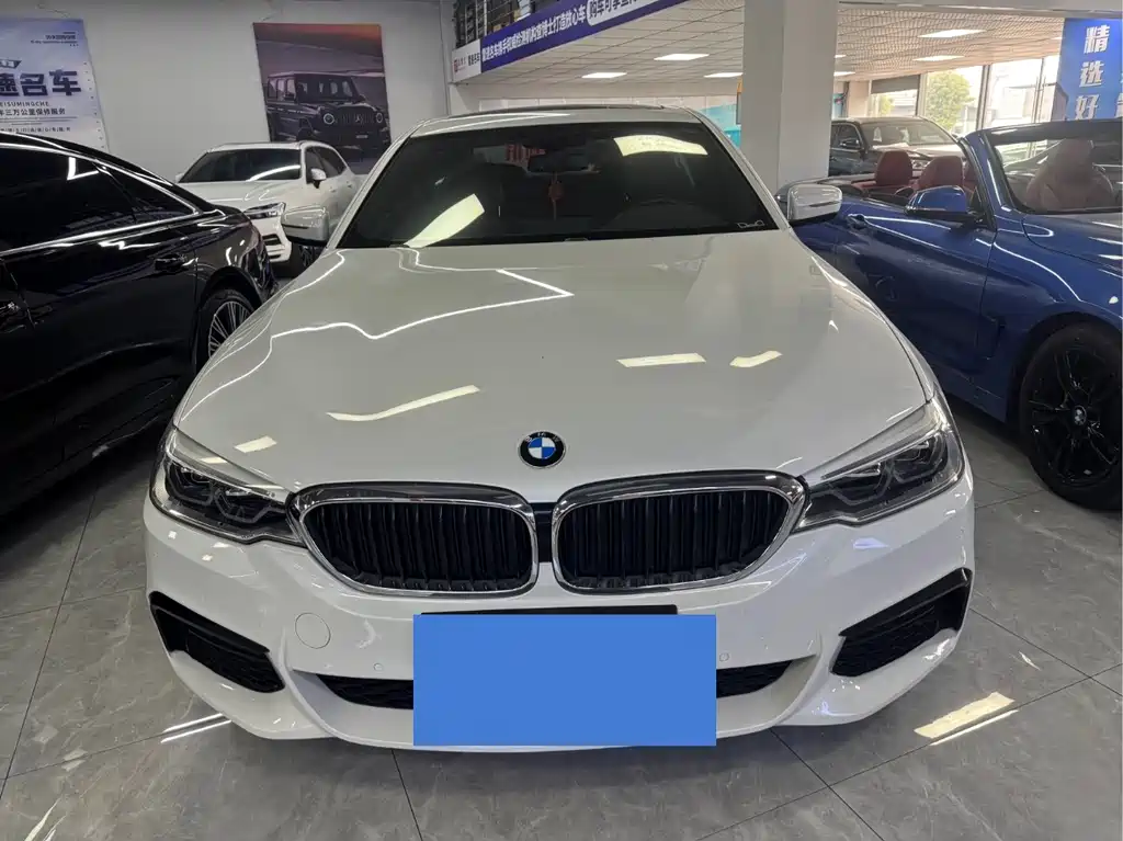 BMW BMW 5 Series 2020 530Li Leading Model M Sport Package 2020 - thumbnail 2
