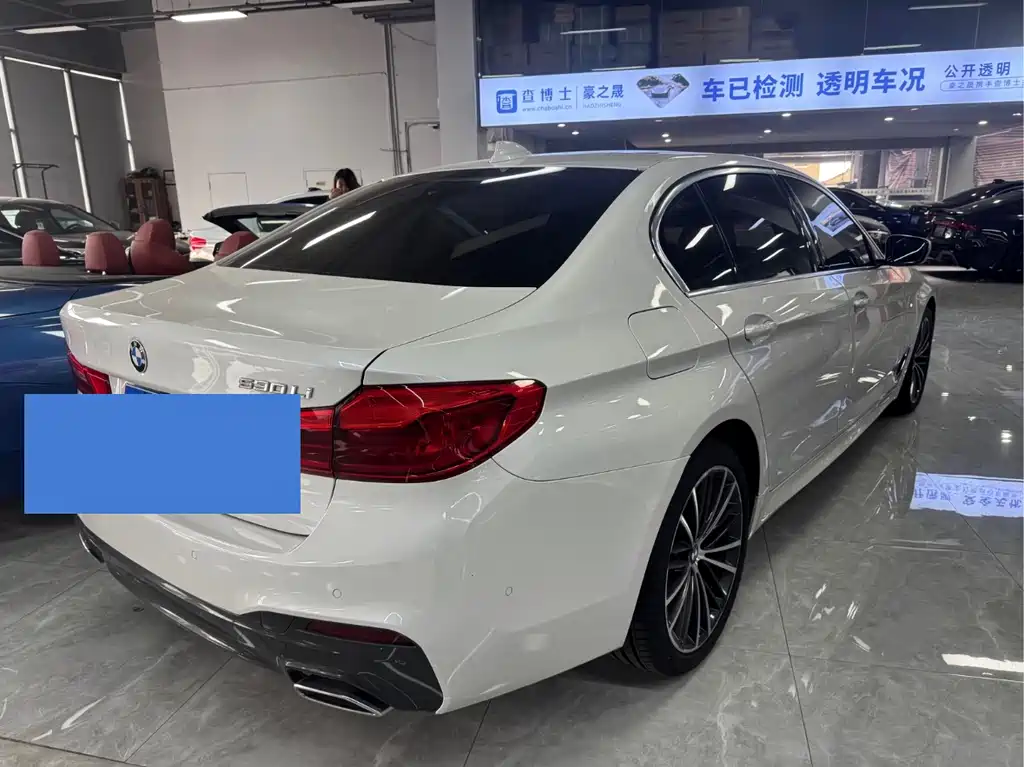 BMW BMW 5 Series 2020 530Li Leading Model M Sport Package 2020 - thumbnail 10