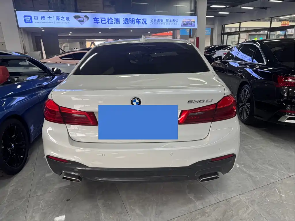 BMW BMW 5 Series 2020 530Li Leading Model M Sport Package 2020 - thumbnail 11