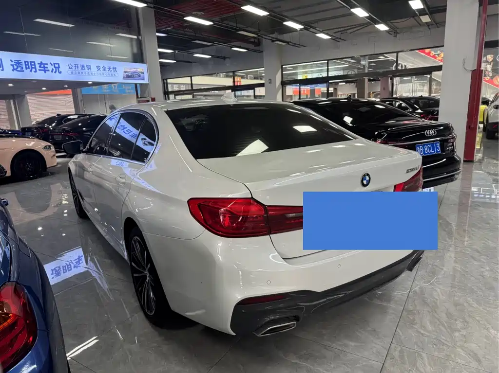 BMW BMW 5 Series 2020 530Li Leading Model M Sport Package 2020 - thumbnail 12