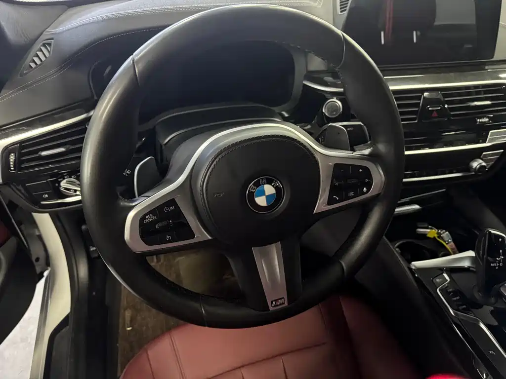 BMW BMW 5 Series 2020 530Li Leading Model M Sport Package 2020 - thumbnail 15