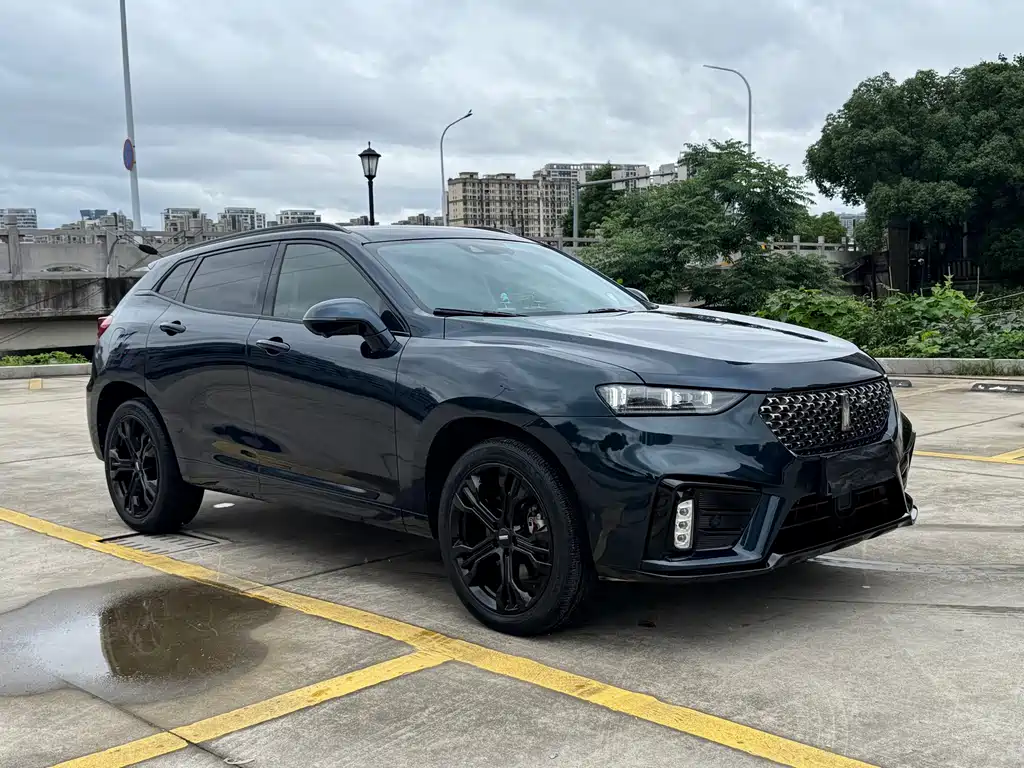 Wey WEY VV7 2020 2.0T Flagship 2019