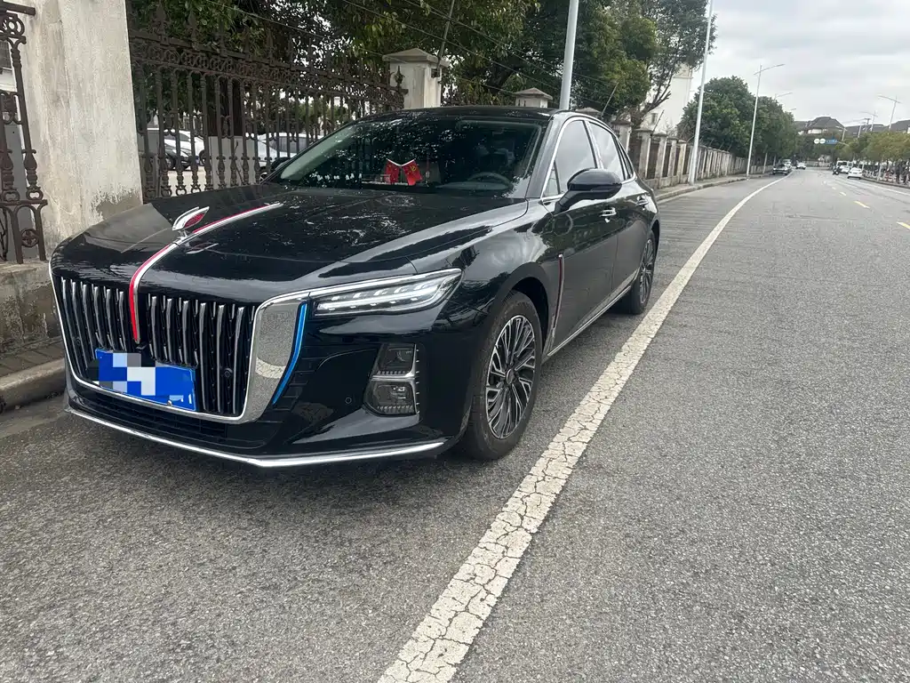 Hongqi Hongqi H5 2025 2.0T Automatic Flag Enjoyment Edition 2025
