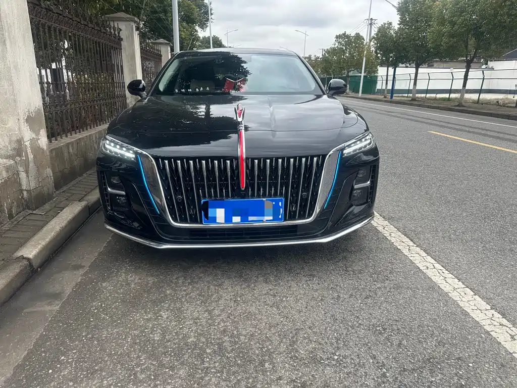 Hongqi Hongqi H5 2025 2.0T Automatic Flag Enjoyment Edition 2025 - thumbnail 2