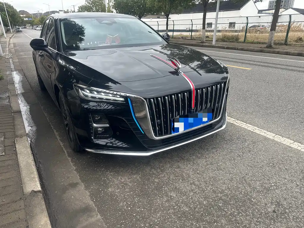 Hongqi Hongqi H5 2025 2.0T Automatic Flag Enjoyment Edition 2025 - thumbnail 3