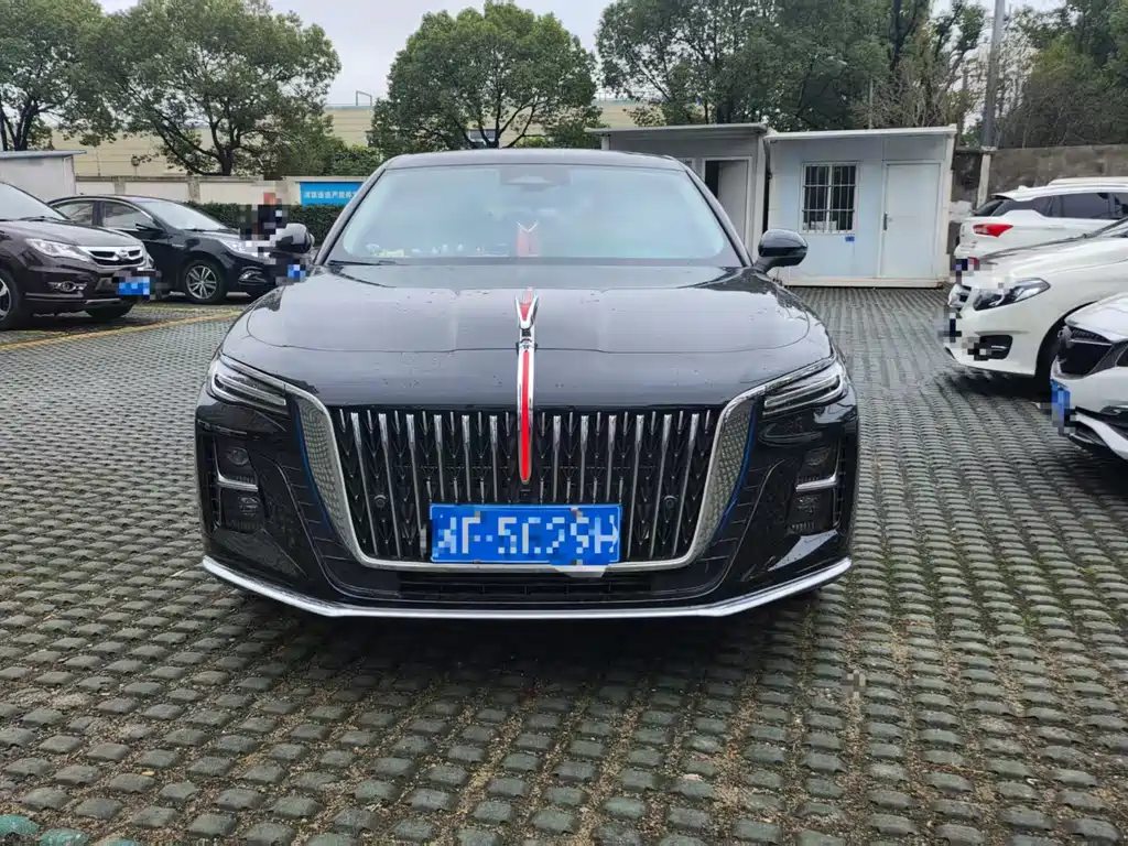 Hongqi Hongqi H5 2025 2.0T Automatic Flag Enjoyment Edition 2025 - thumbnail 4