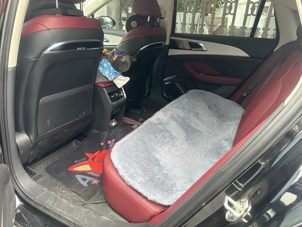 Hongqi Hongqi H5 2025 2.0T Automatic Flag Enjoyment Edition 2025 - thumbnail 12