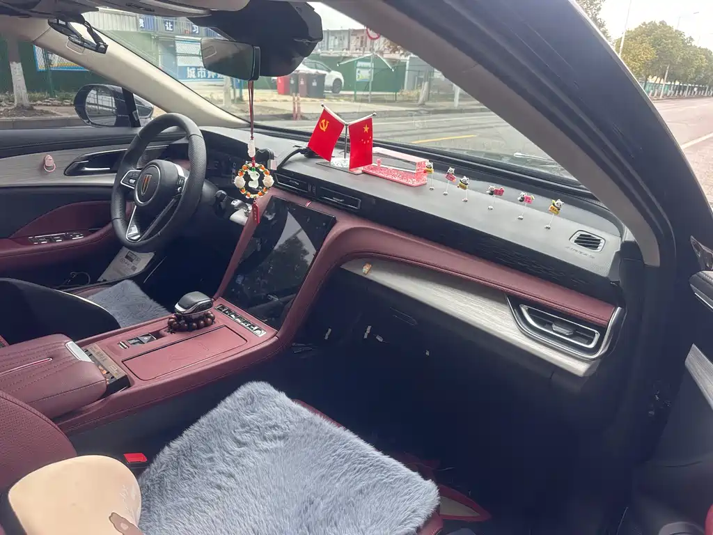 Hongqi Hongqi H5 2025 2.0T Automatic Flag Enjoyment Edition 2025 - thumbnail 15