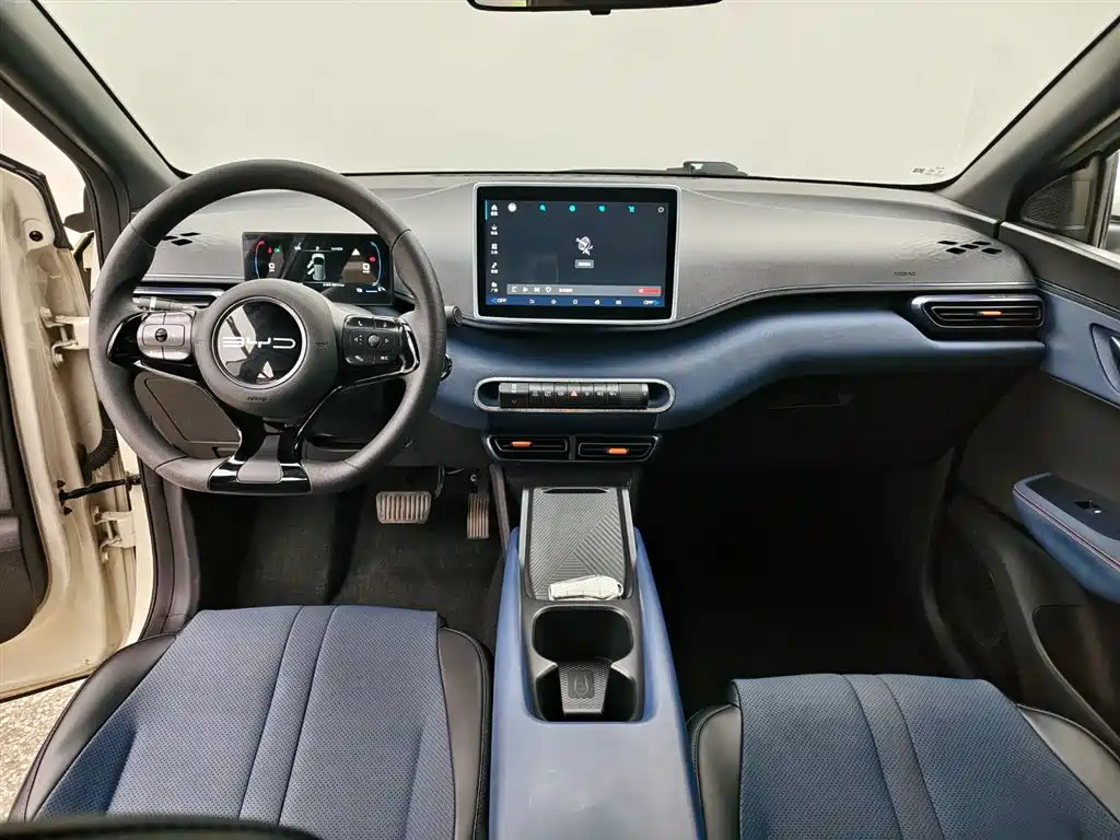 BYD BYD Haiou 2023 Active Edition 2024 - thumbnail 4