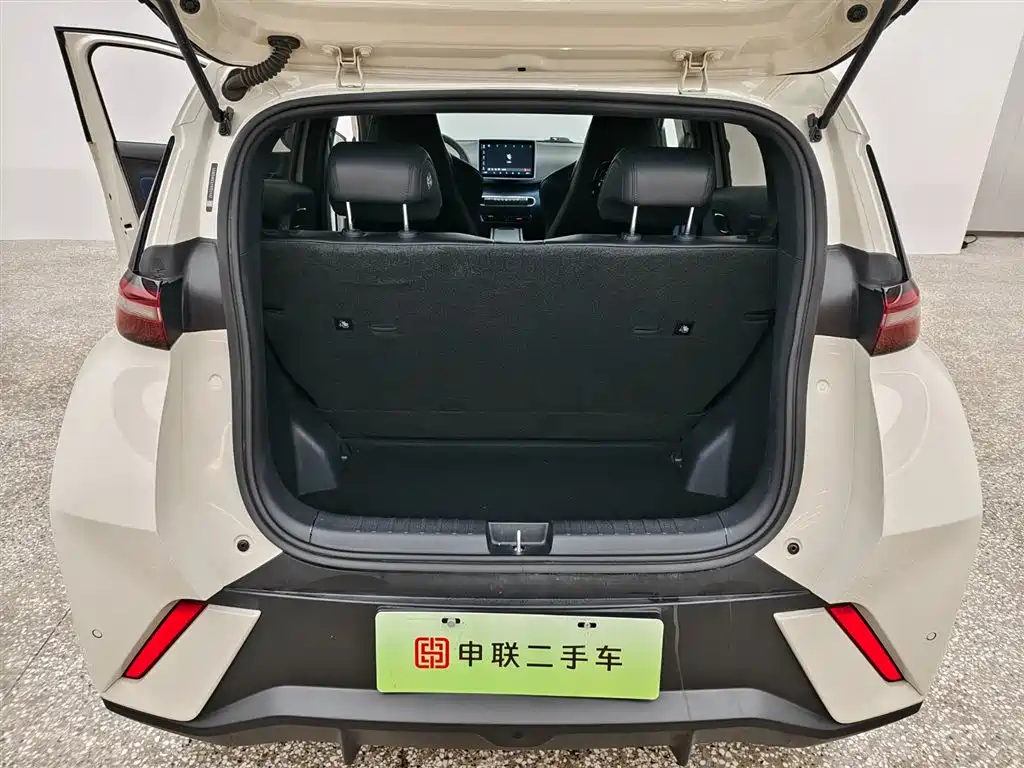 BYD BYD Haiou 2023 Active Edition 2024 - thumbnail 13