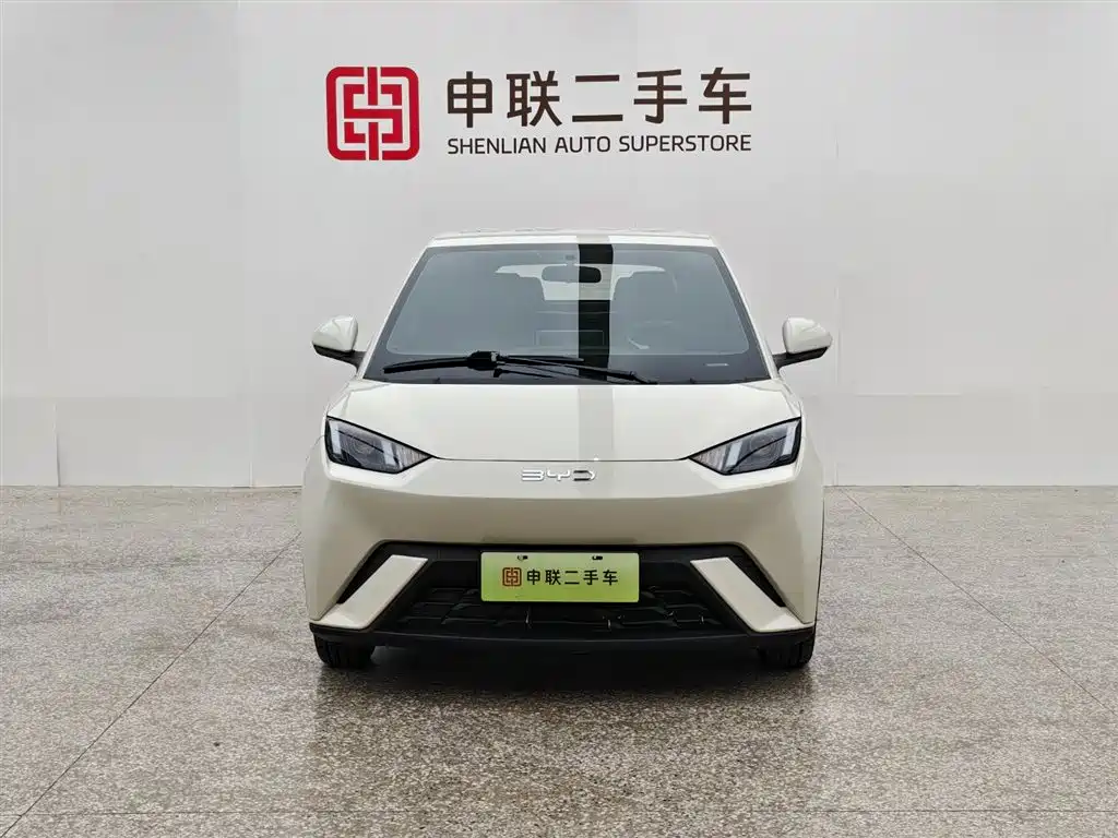 BYD BYD Haiou 2023 Active Edition 2024 - thumbnail 14