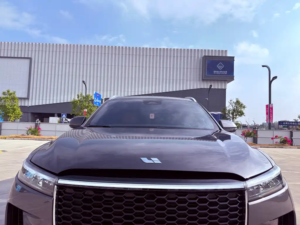Li Auto Li ONE 2021 Extended Range 6-Seat Version 2022 - thumbnail 6