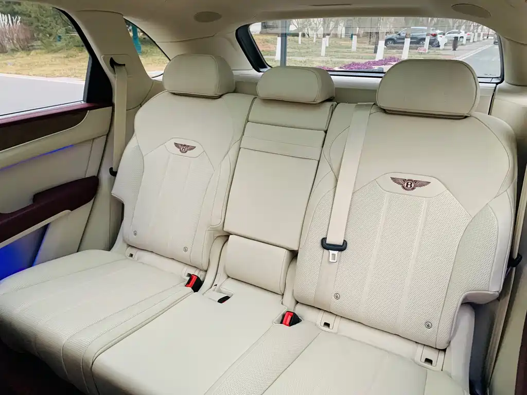 Bentley Bentayga 2021 4.0T V8 2021 - thumbnail 17