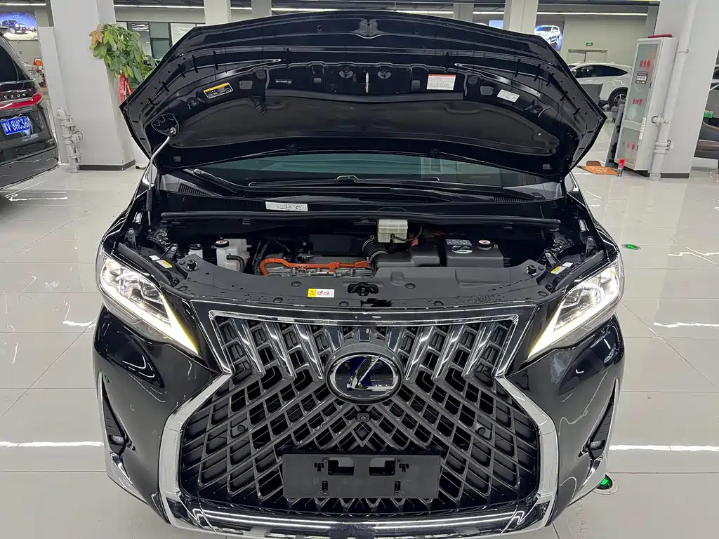 Lexus Lexus LM 300h Four-Seat Imperial Edition 2020 Model 2022 - thumbnail 30