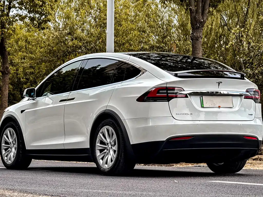 Tesla Model X 75D 2017 - thumbnail 2