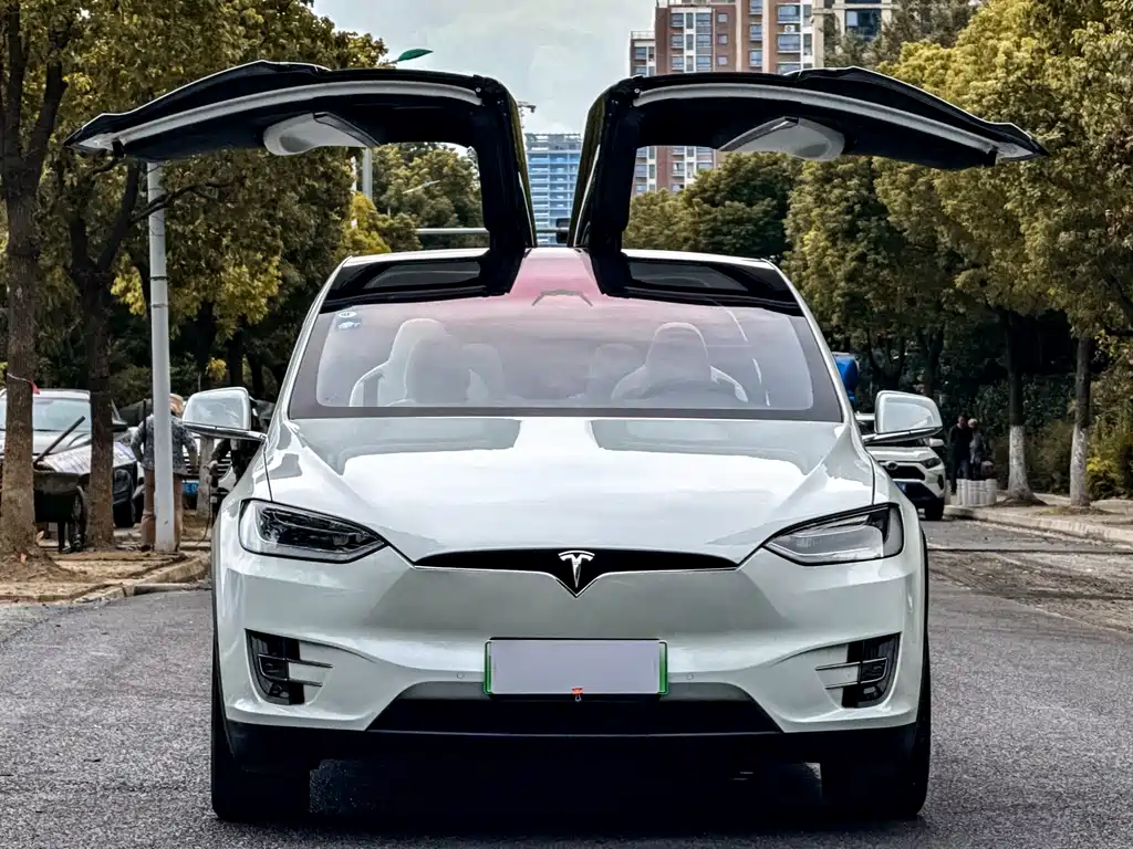 Tesla Model X 75D 2017 - thumbnail 3