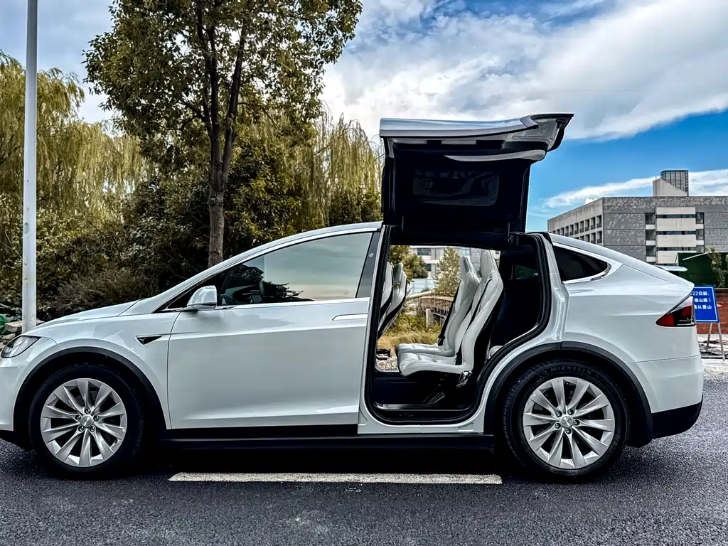 Tesla Model X 75D 2017 - thumbnail 4