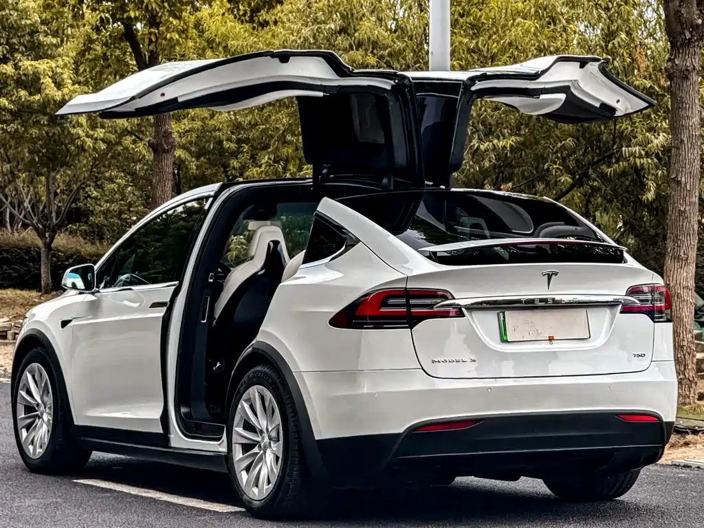 Tesla Model X 75D 2017 - thumbnail 5