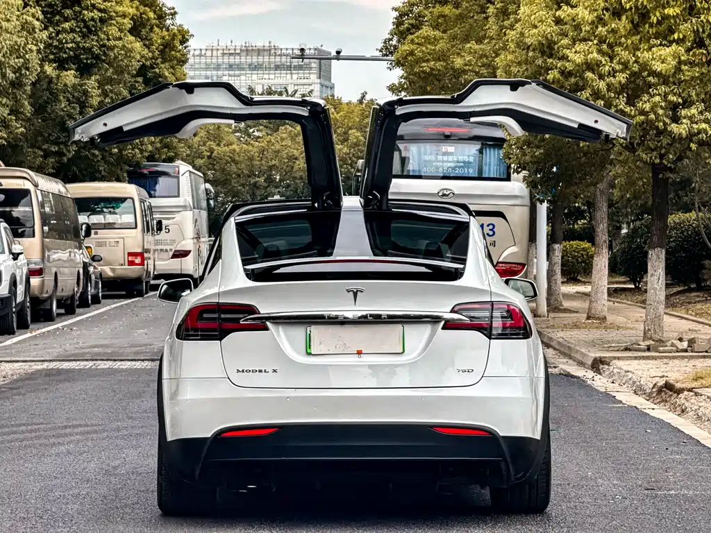 Tesla Model X 75D 2017 - thumbnail 6
