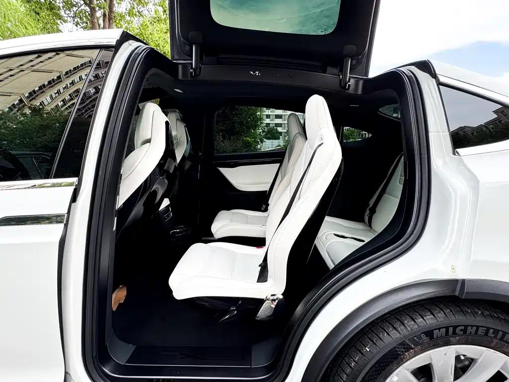 Tesla Model X 75D 2017 - thumbnail 10