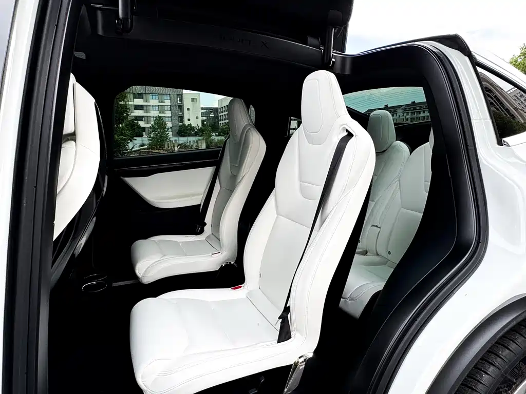 Tesla Model X 75D 2017 - thumbnail 11